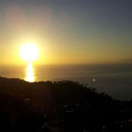 B&B Villa Orchidea Camogli Bagian luar foto