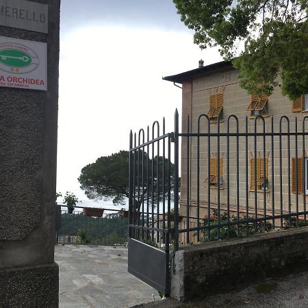 B&B Villa Orchidea Camogli Bagian luar foto