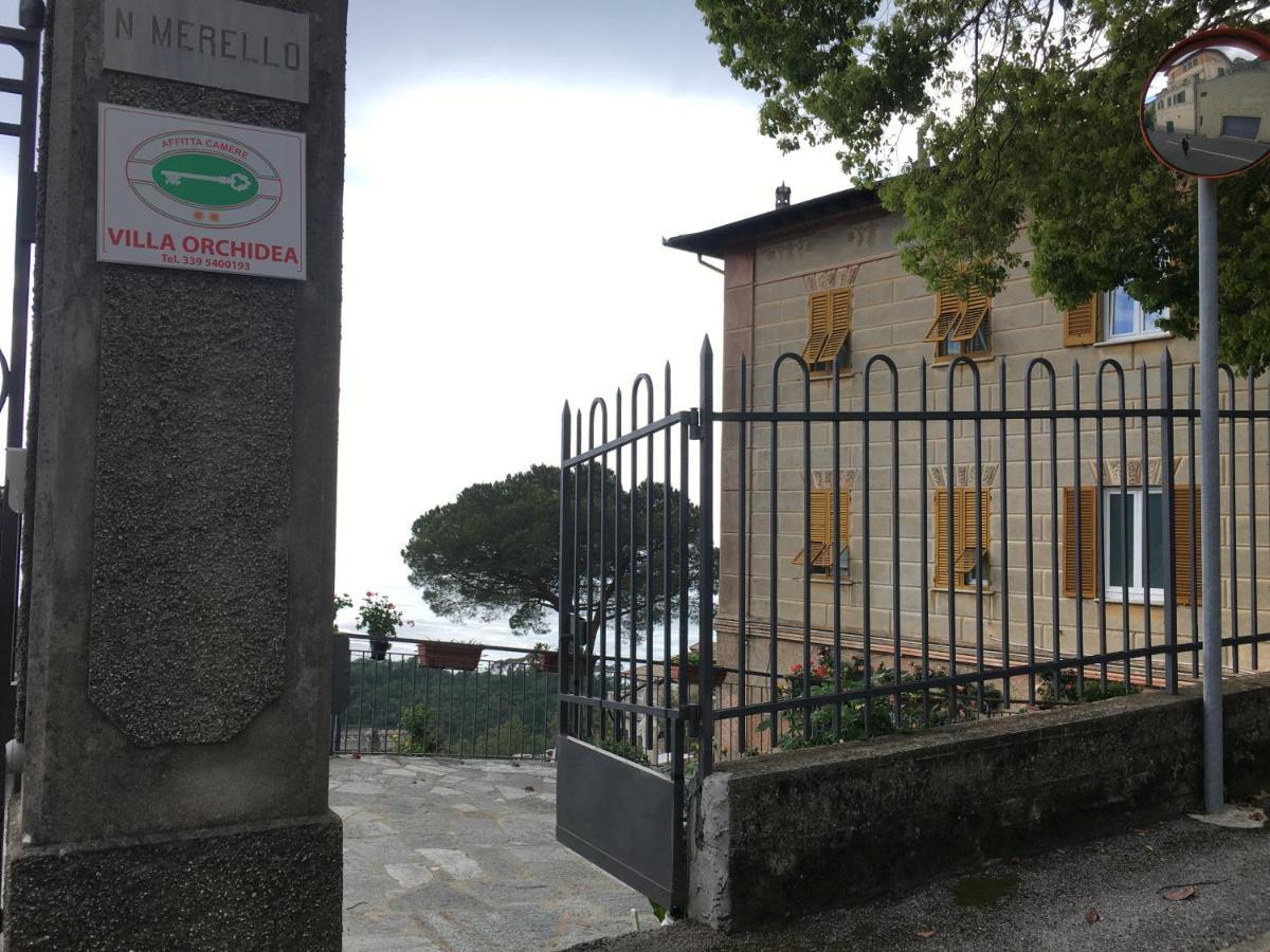 B&B Villa Orchidea Camogli Bagian luar foto