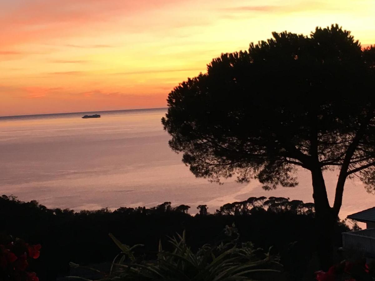 B&B Villa Orchidea Camogli Bagian luar foto